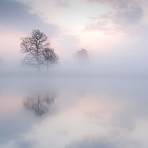 凯特温斯莱特裸被❌视频
